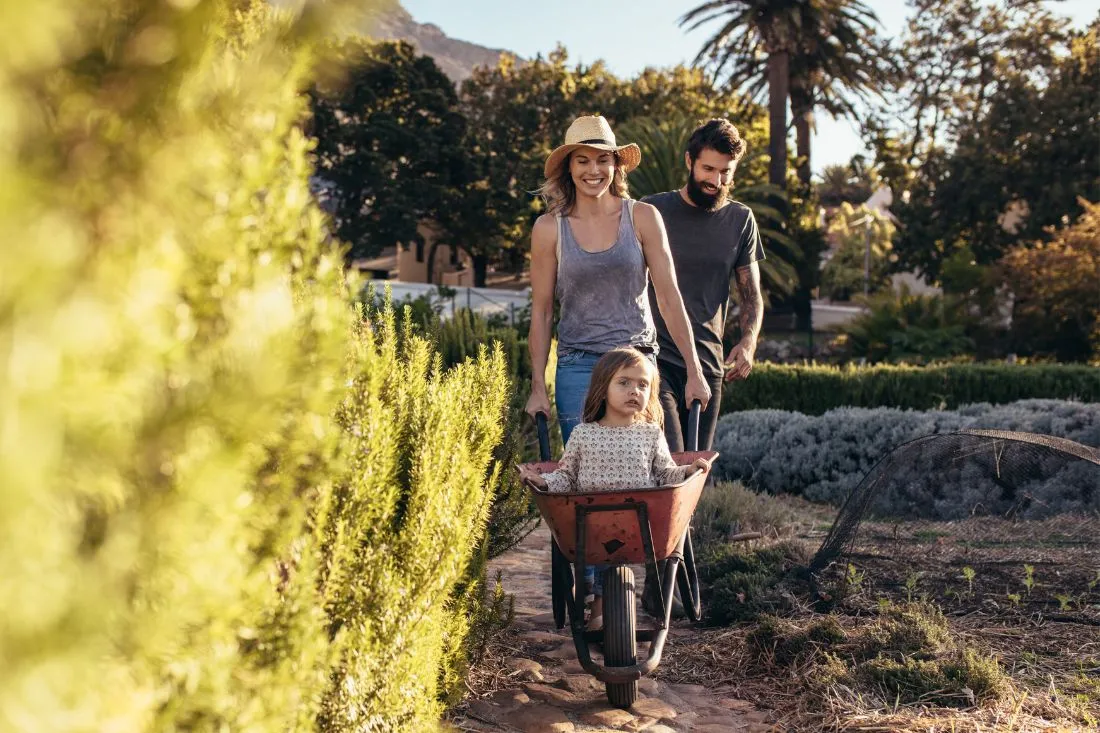 Image for 
                            Thinking of a tree change? You might find more affordable homes                        