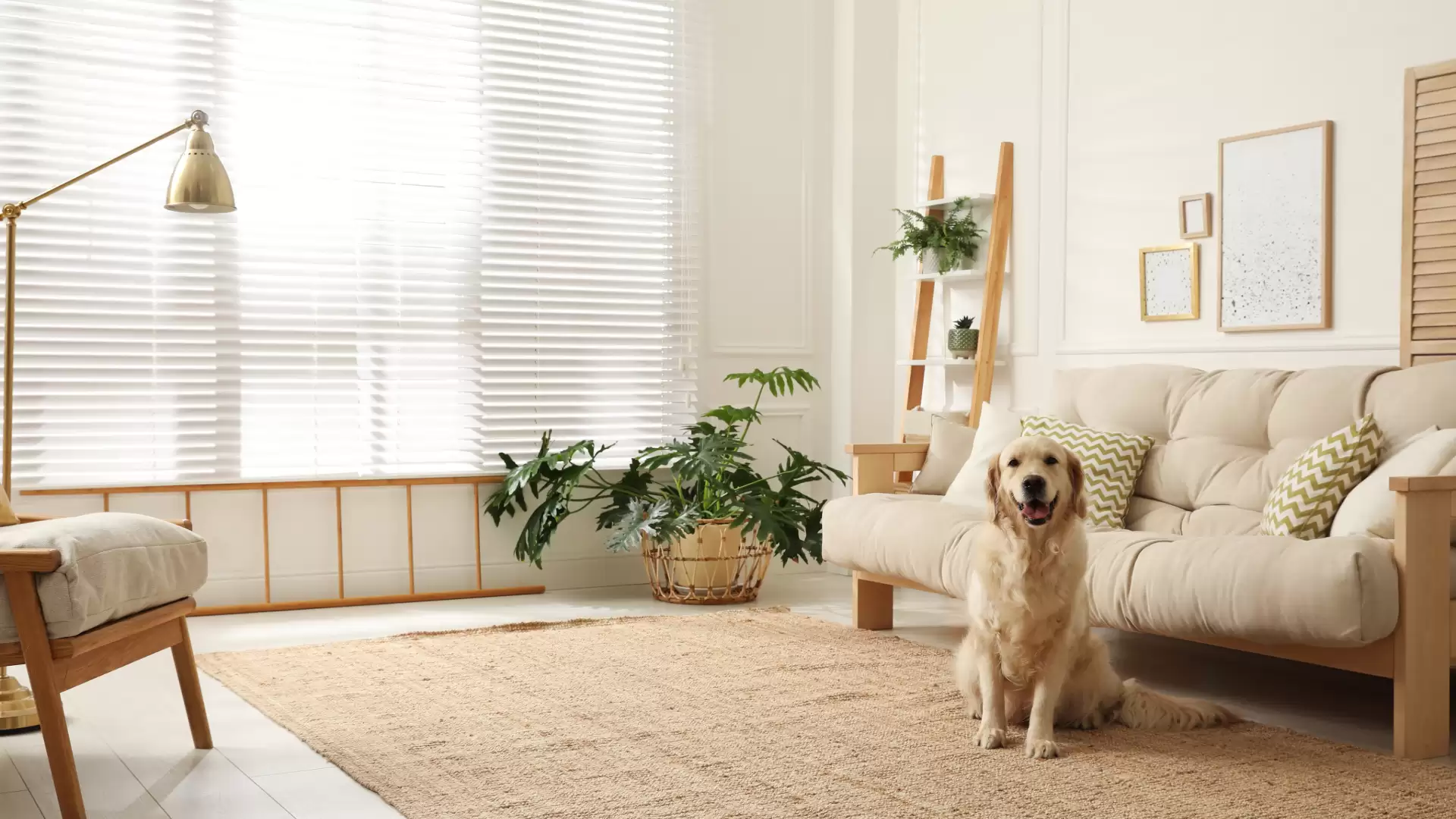 Home Loans BetterLend